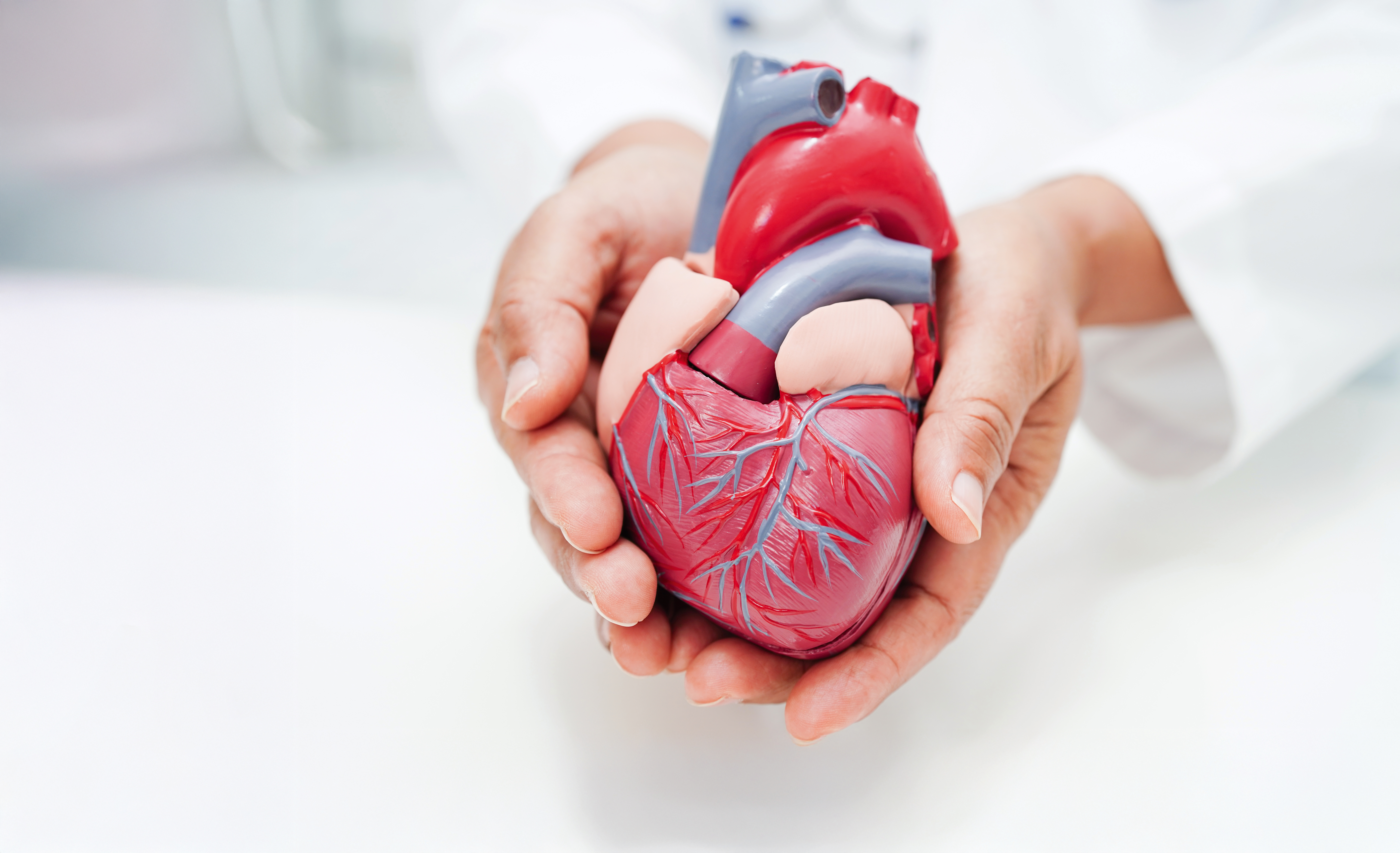 Cholesterol - jeho vliv na zdraví srdce a cév